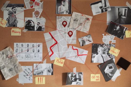 Detectives penales y criminales